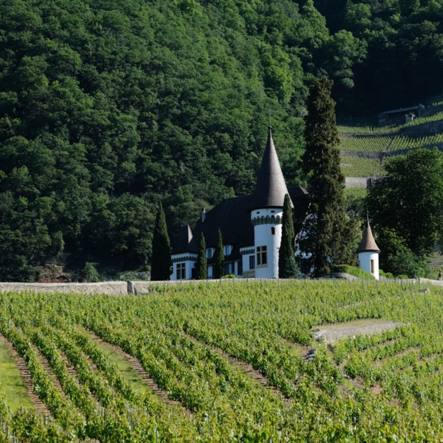 Château Maison Blanche