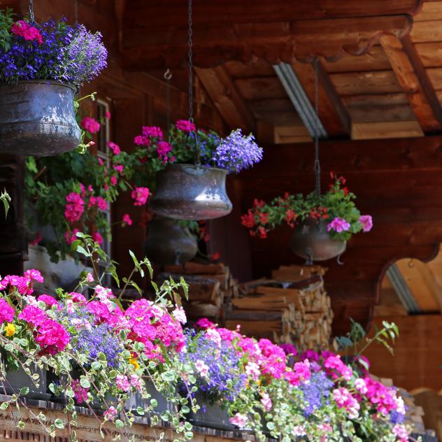 Flowering balconies competition