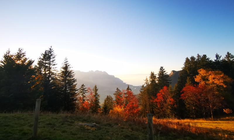 Leysin - Prafandaz view - autumn