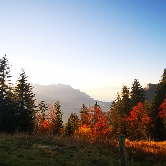 Above Leysin - N°5