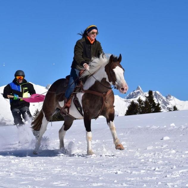 Ski jöring in Col des Mosses