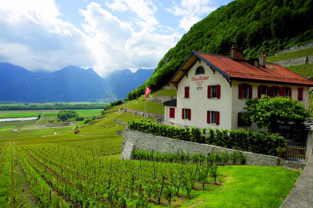 Clos du Rocher - Sommer - Aigle