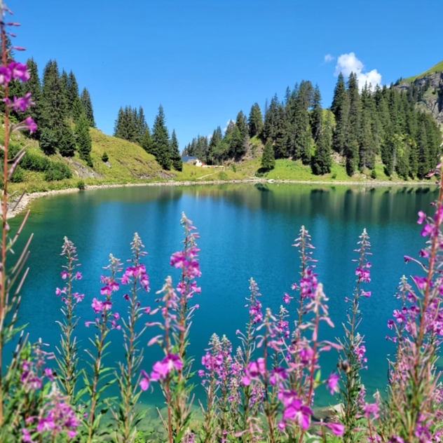 Lac Lioson
