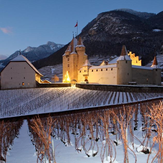 Weihnachtszauber im Schloss