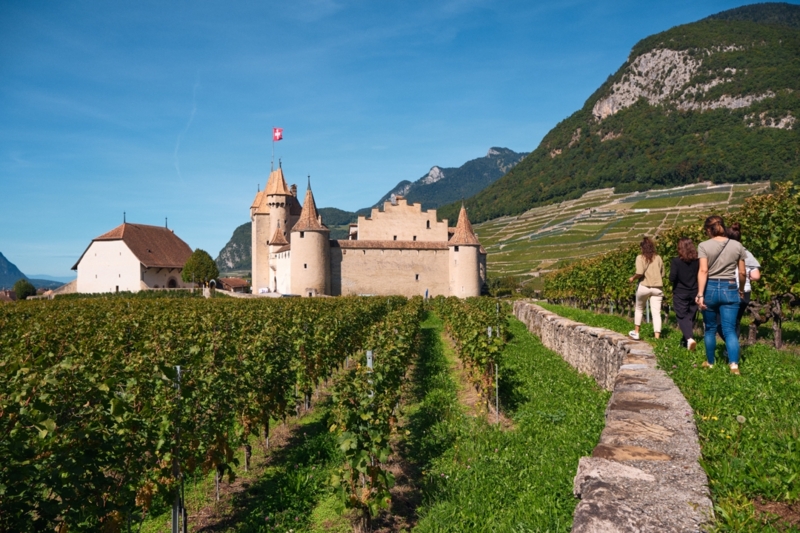 Castle of Aigle with vines - summer - Leysin