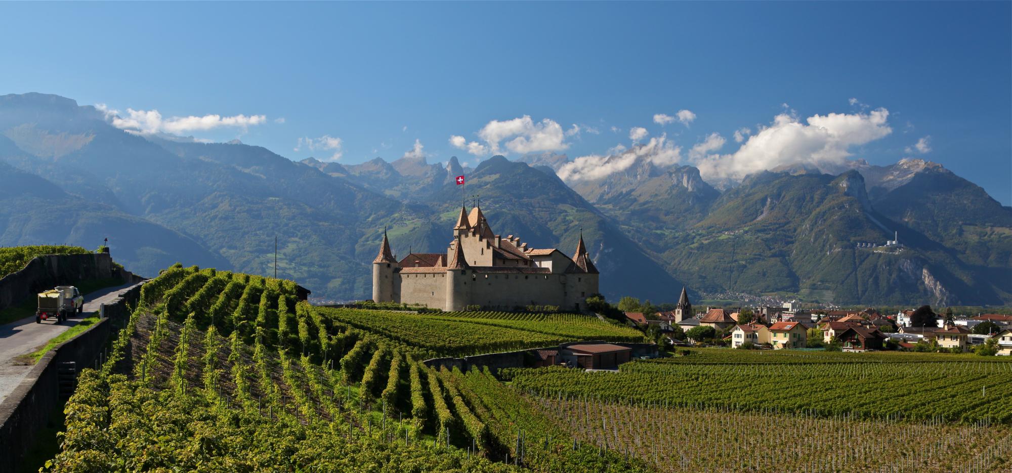 Castle of Aigle with vines - summer - Leysin