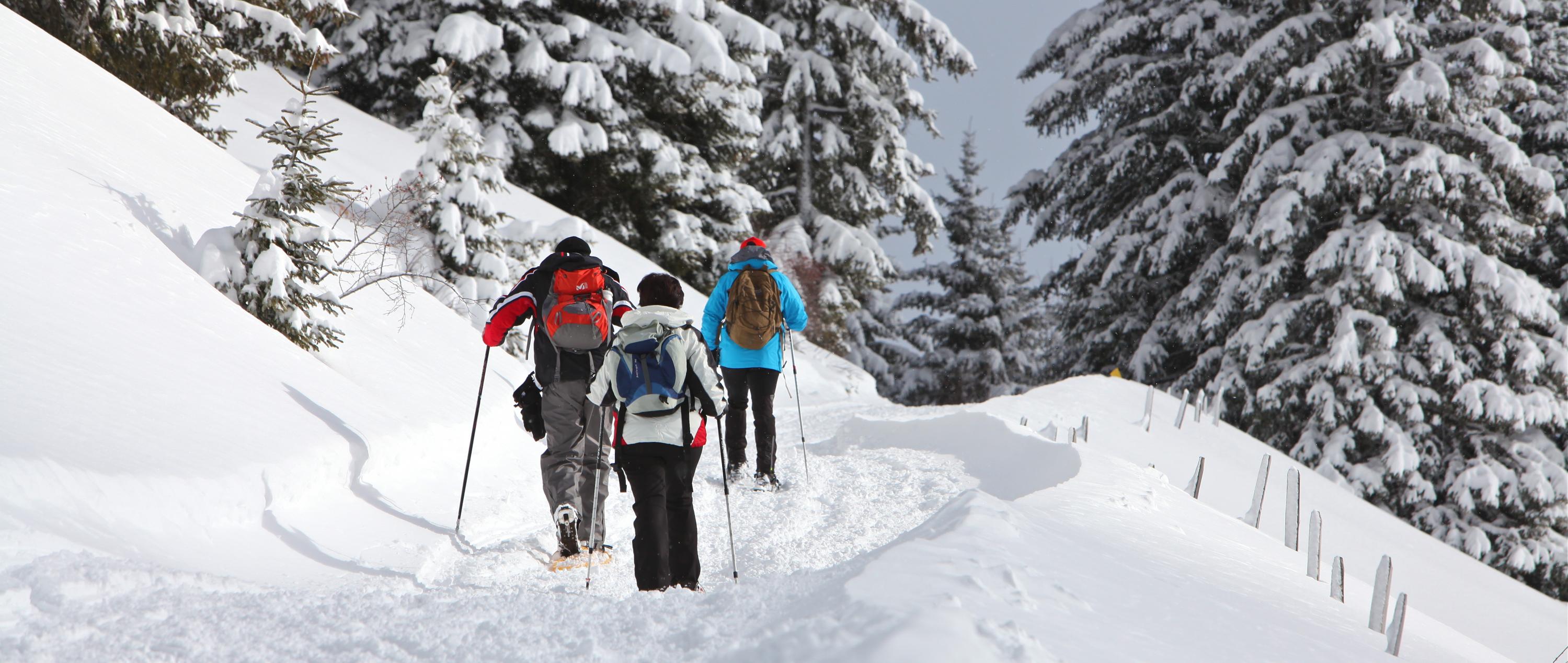 Winterwandern und Schneeschuhwandern in Leysin