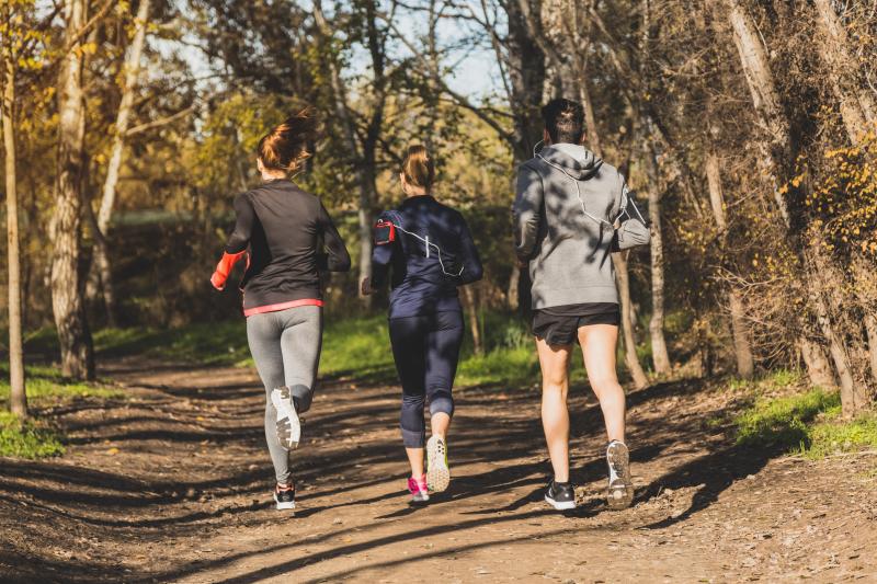 Running in the forest