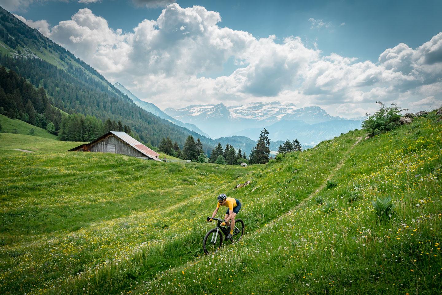 Gravel - Abfahrt in einem Feld - Sommer
