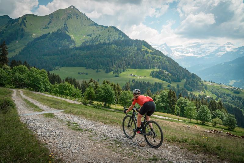 Gravel - Descent to Les Mosses - summer