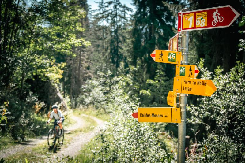 Gravel - forest climb in front of a signpost - summer