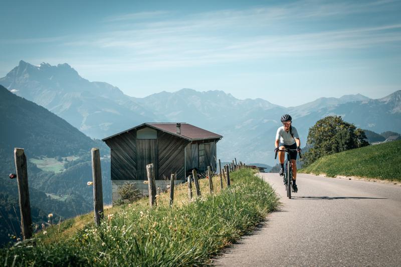 Gravel - View of the Dents du Midi from a Mazot - summer