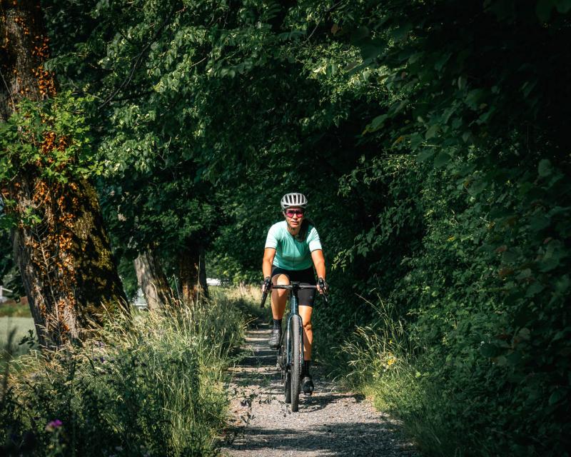 Gravel - In the woods of Aigle - summer