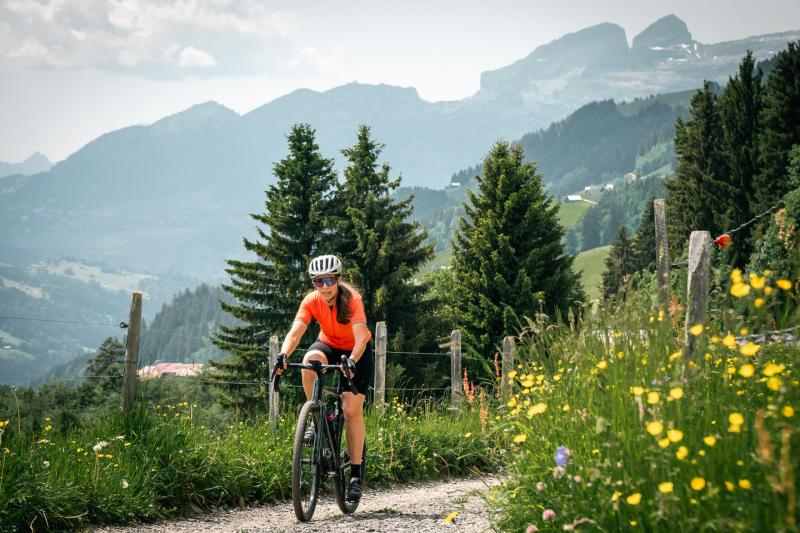 Gravel - Ascent to Les Mosses with flowers - summer