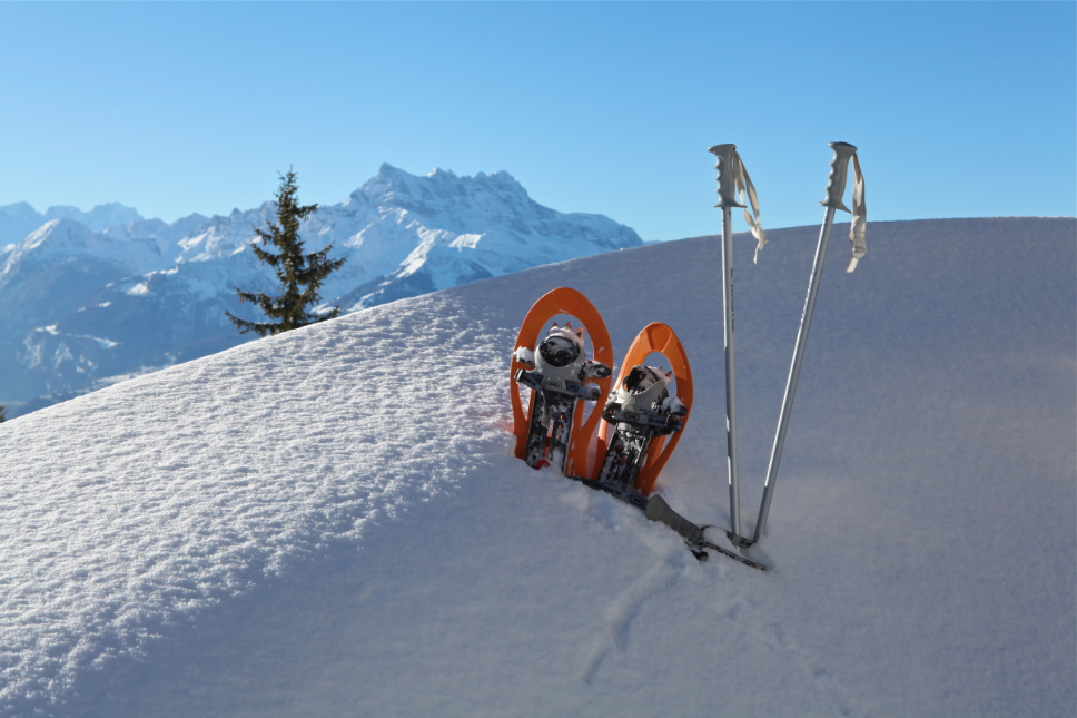 All winter walking routes in Leysin