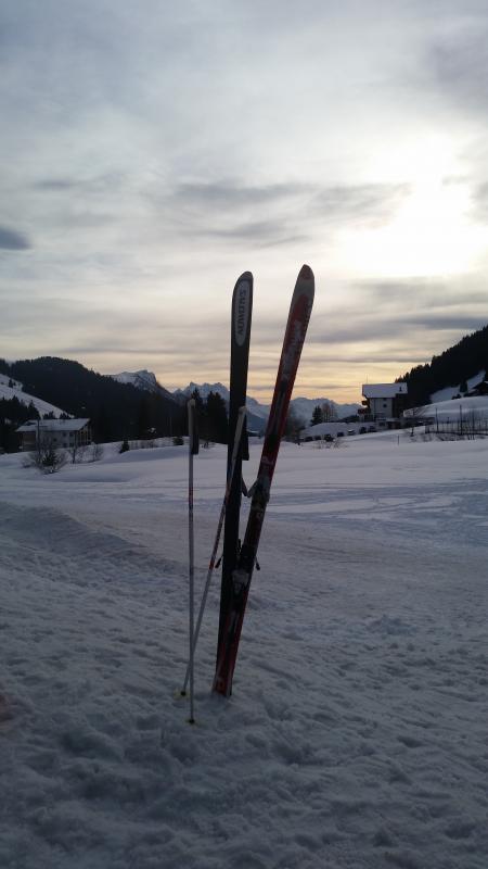 Skis - winter - Les Mosses