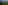 The orchards of Aigle and Yvorne