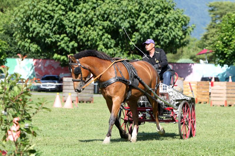 Concours Hippique d'Aigle (Reitturnier)