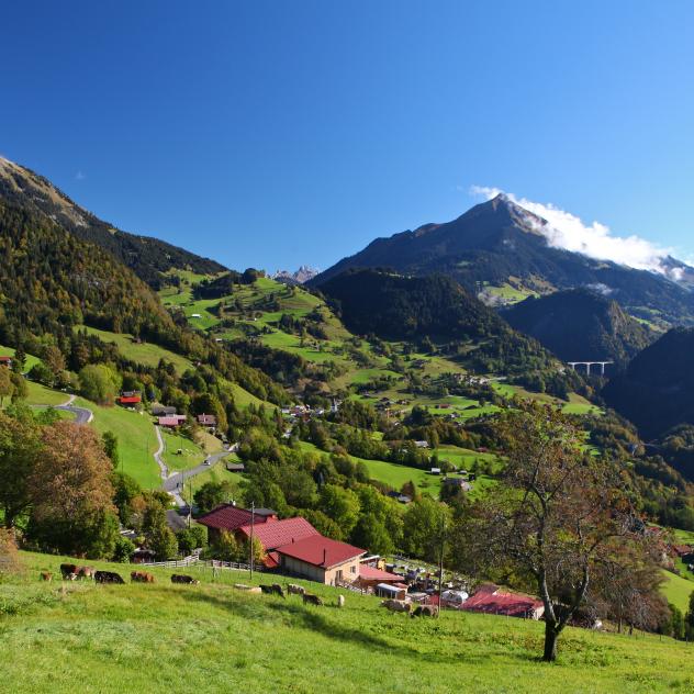 Mont-d'Or and Pic Chaussy landscape - summer - Leysin