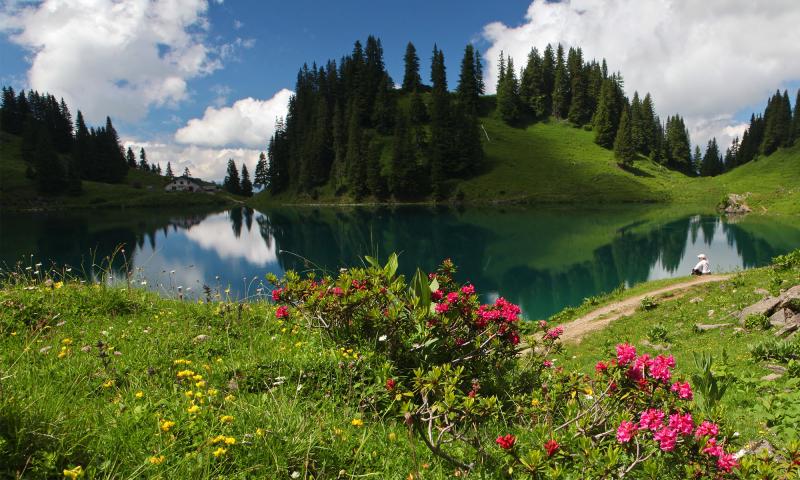 Lake Lioson with flowers - summer - Les Mosses