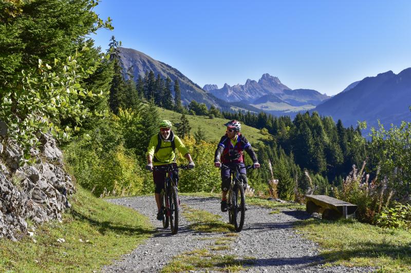 MTB - summer - Leysin