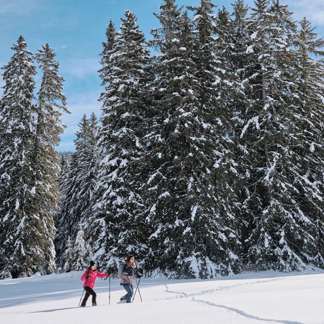 Lioson d'en Bas auf Schneeschuhen