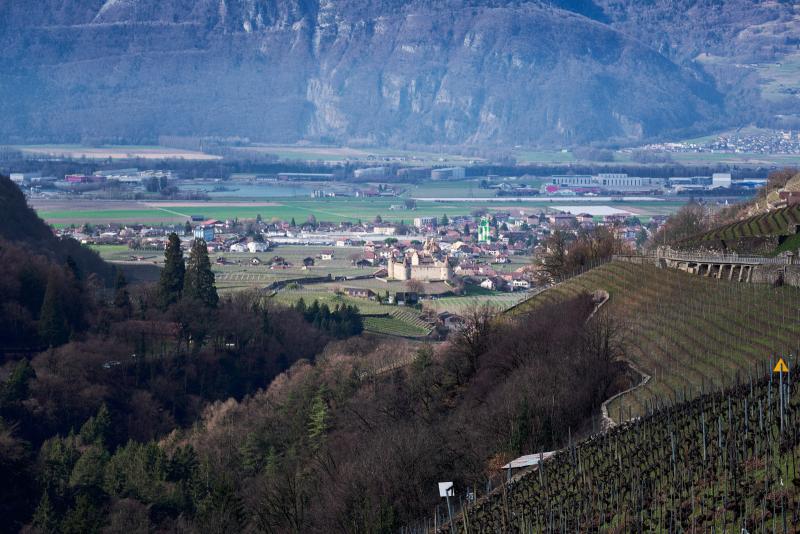 Viewpoint - Les Afforêts