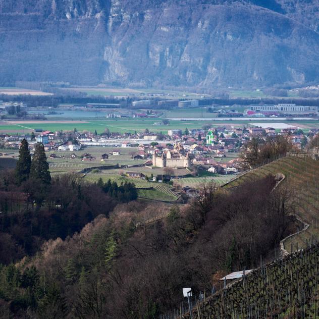 Domaine des Afforêts