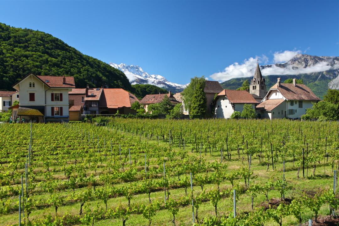 Old town - summer - Aigle