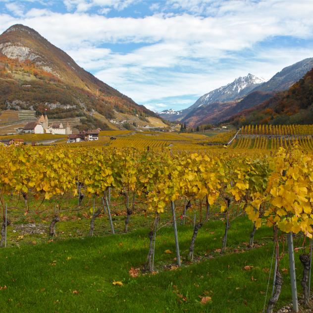 Via Valdensis de Aigle à Villars | N°15