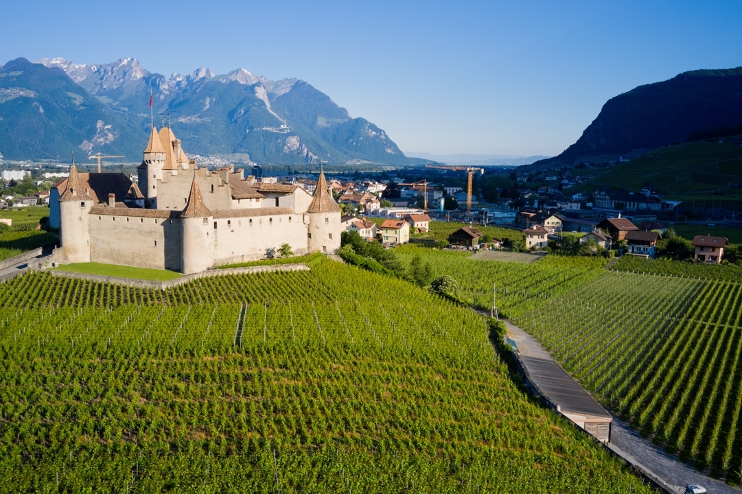 Visualps – Matthias Lehmann