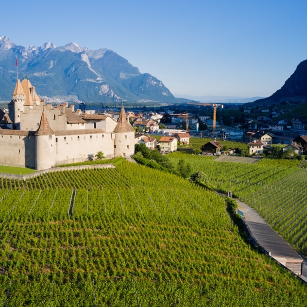 Via Valdensis de Aigle à Villars | N°15