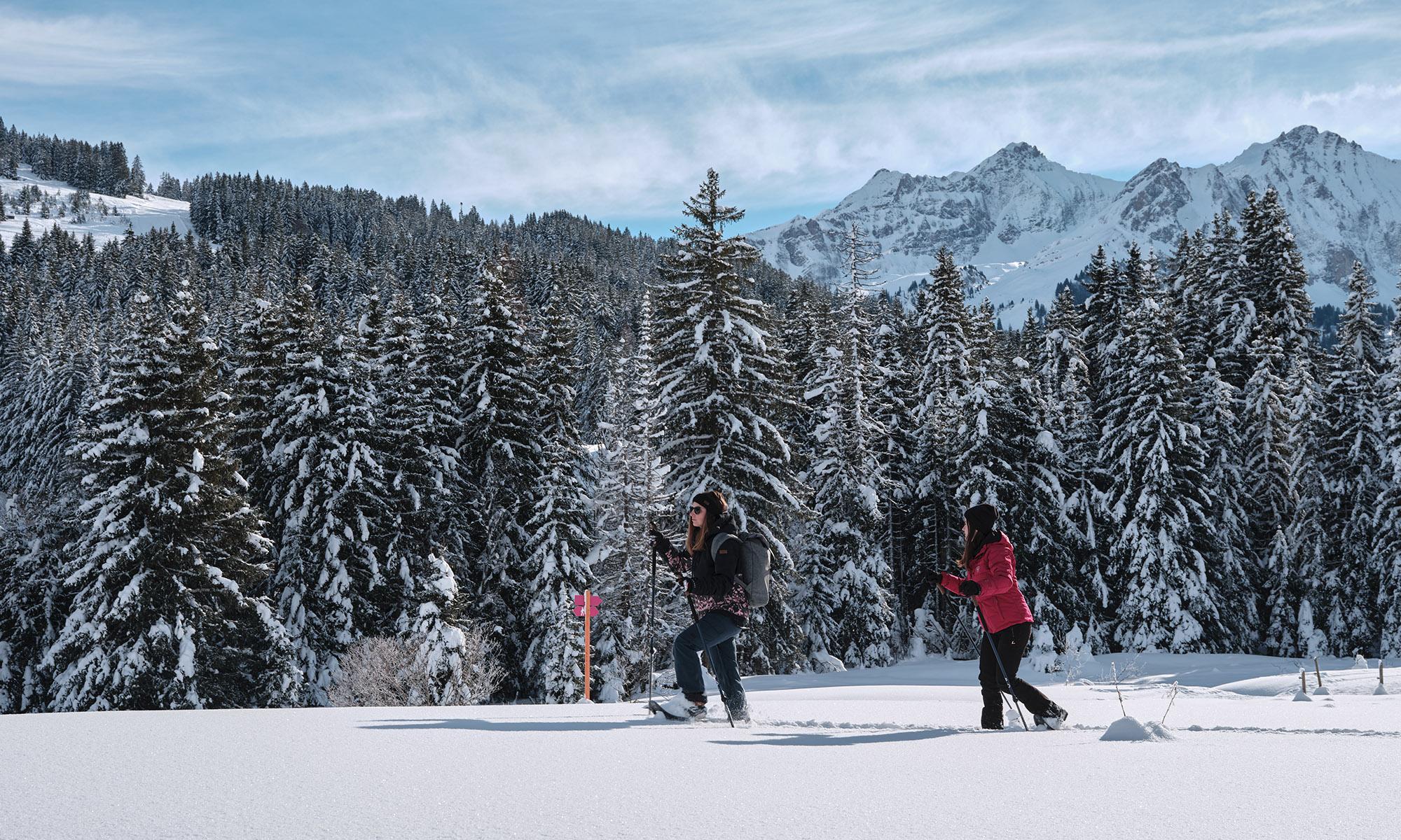 Les randonnées hivernales au Col des Mosses