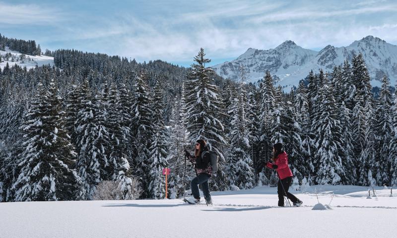 Randonnée hivernale