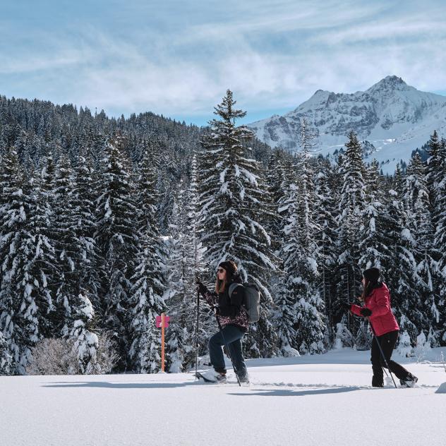 Les randonnées hivernales au Col des Mosses