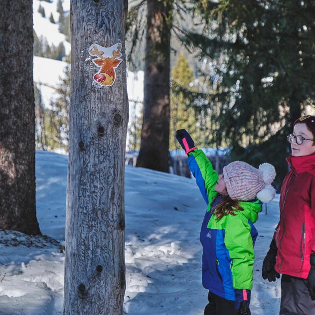 Winterliche Schatzsuche in Les Mosses