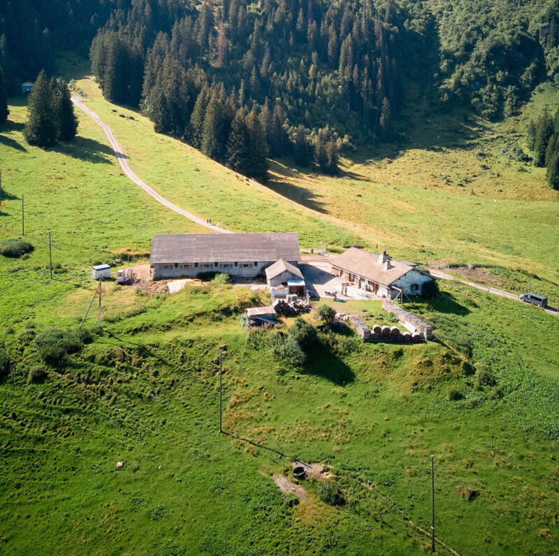 Les Mosses - Fromagerie Lioson d'en Bas - Summer