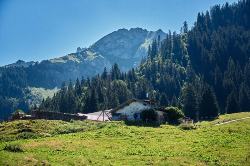 Les Mosses - Fromagerie Lioson d'en Bas - Summer