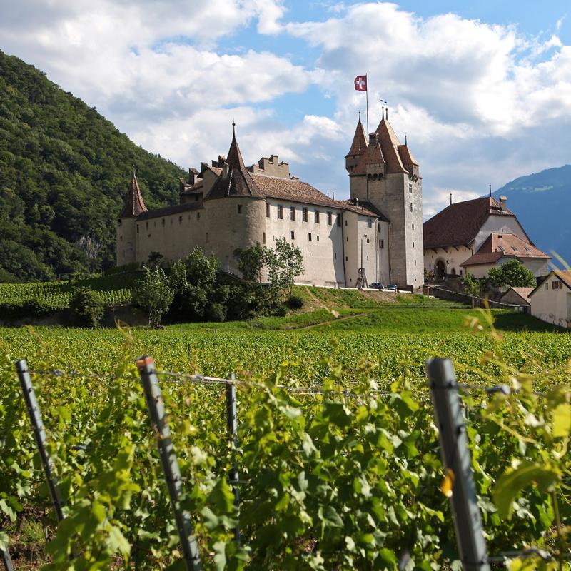 Château d'Aigle en été