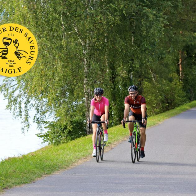 International Bike Day