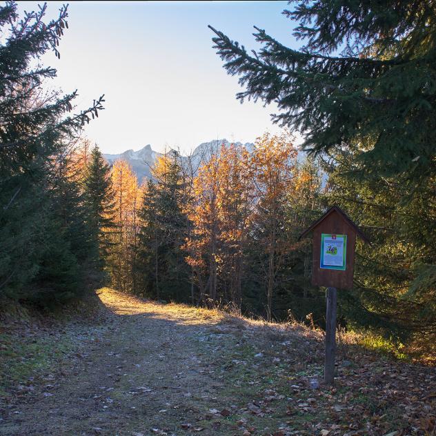 The Trapper's Trail