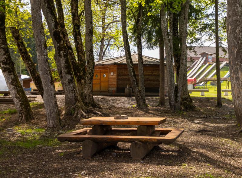 Place des feuilles - Leysin - table de pique-nique entouré d'arbre - été