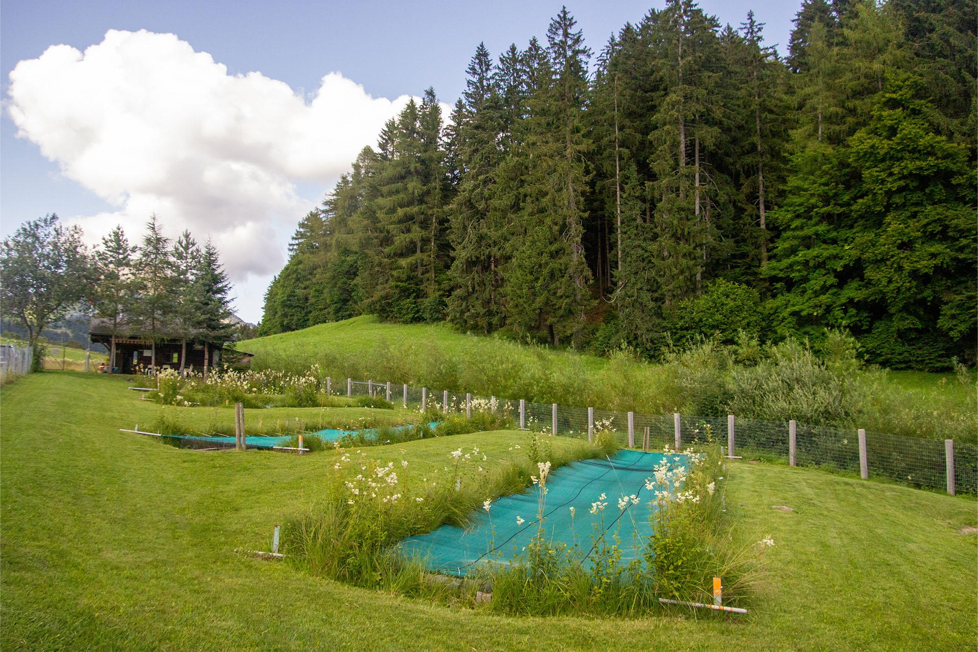 The fish farm of Leysin