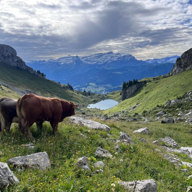 Der Bauernhof von Le Torrent