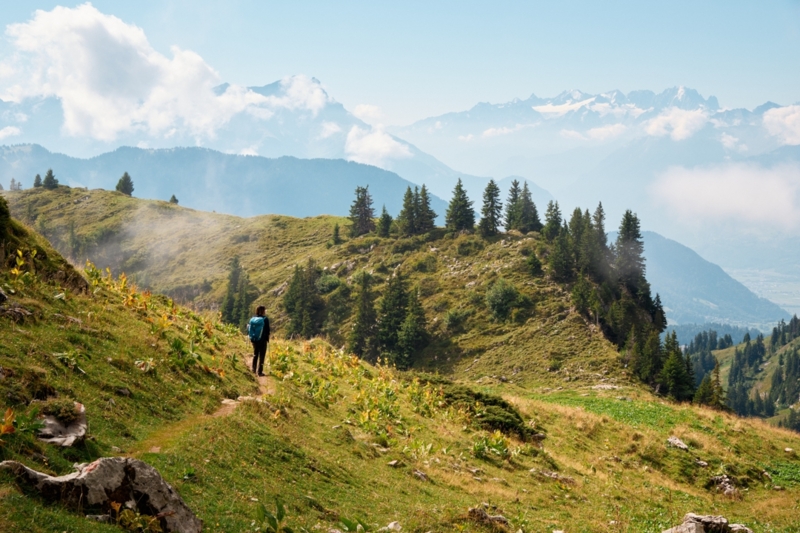 Le Fer - Leysin - summer