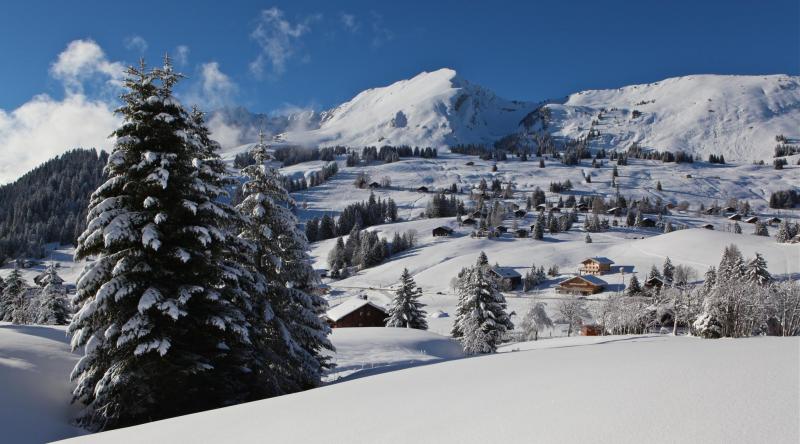 Les Mosses - View of the village and Gros Van - winter