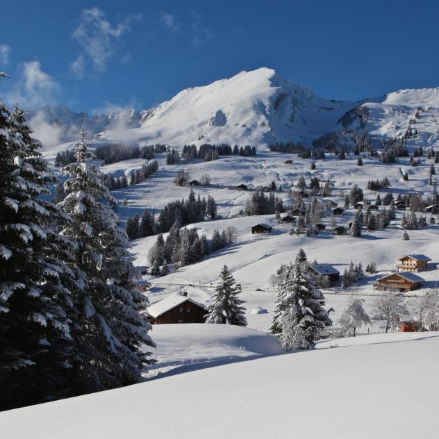 Balade hivernale Les Mosses - La Comballaz