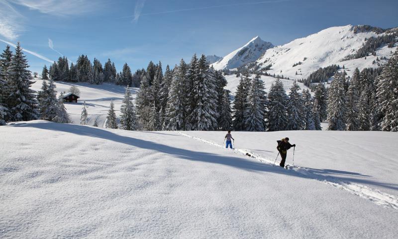 Snowshoes - winter - Les Mosses