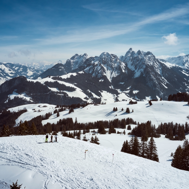 Piste multi-usage des Monts Chevreuils - C