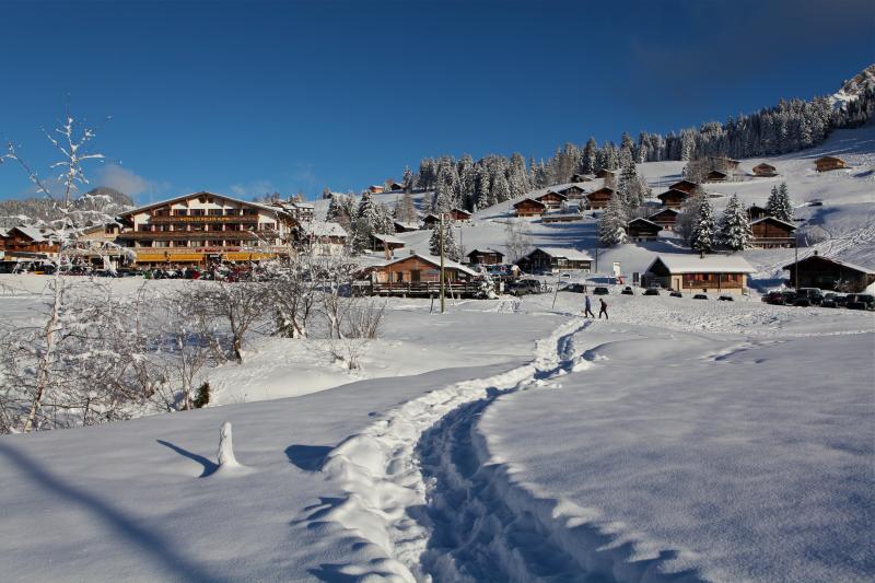 Sentier le Renardeau - hiver - Les Mosses